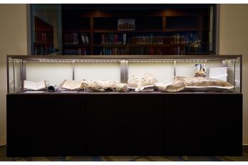 Mammoth Bones