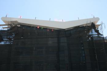 Chevron Roof