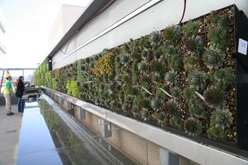 Green Wall