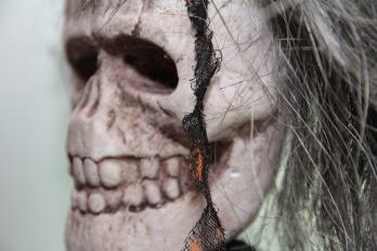 TJSL Halloween Hoopla