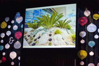 ORCHIDS BLOSSOM FOR TJSL